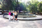 The Ladies at the palace park